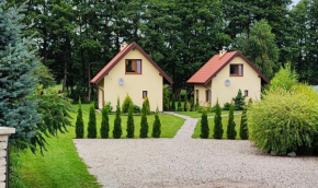 Domki letniskowe Yaga in Wilkasy